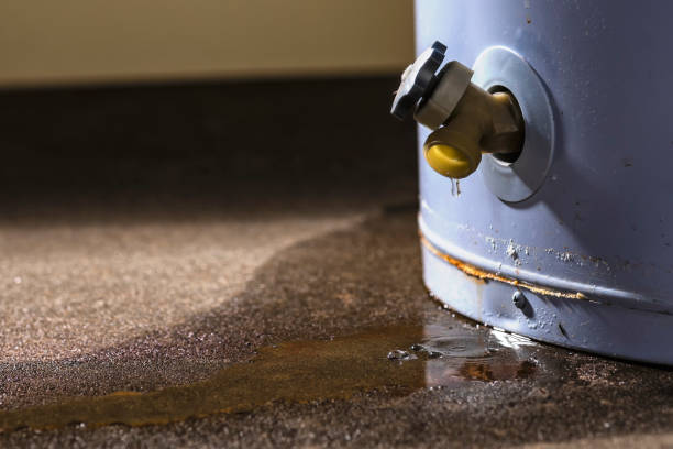 Best Water damage restoration near me  in Woodmont, CT