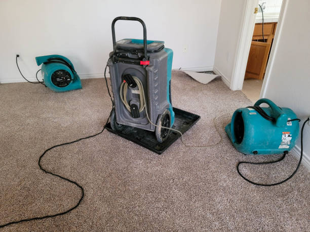 Best Ceiling water damage repair  in Woodmont, CT