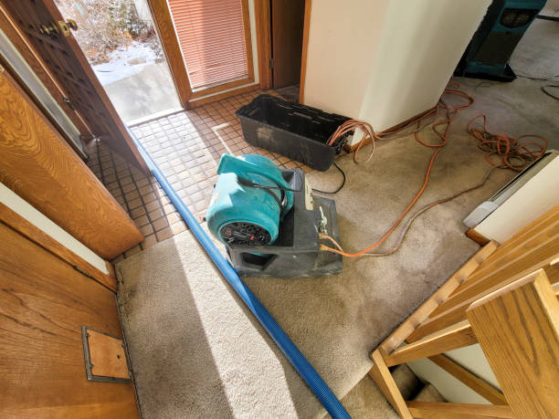 Best Water damage contractors near me  in Woodmont, CT