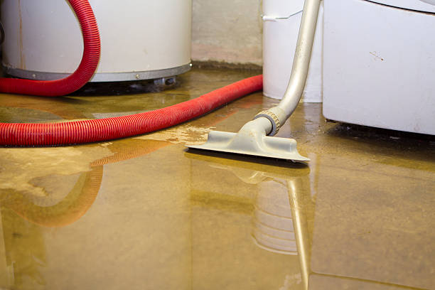 Best Sewage cleanup and water damage restoration  in Woodmont, CT