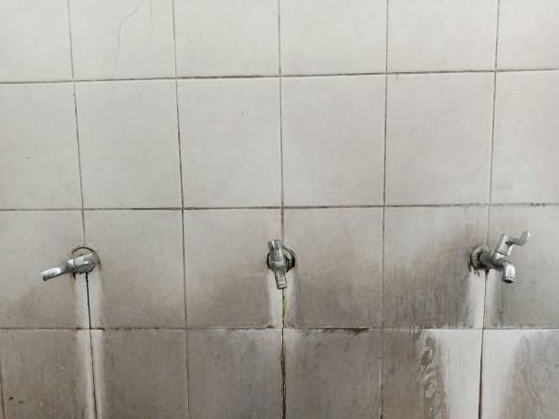  Woodmont, CT Water damage restoration Pros